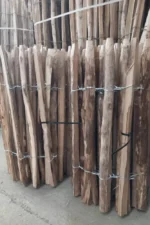 Ganivelle Chataignier – Image 6