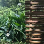 Claustra Bambou – Image 2