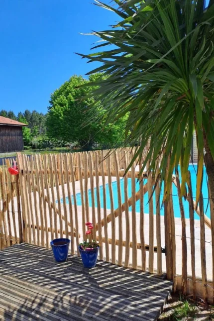 Ganivelle Chataignier