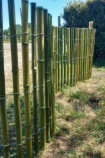 Ganivelles Bambou – Image 5