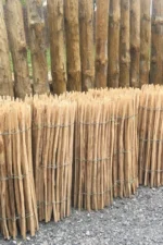 Ganivelle Chataignier – Image 7